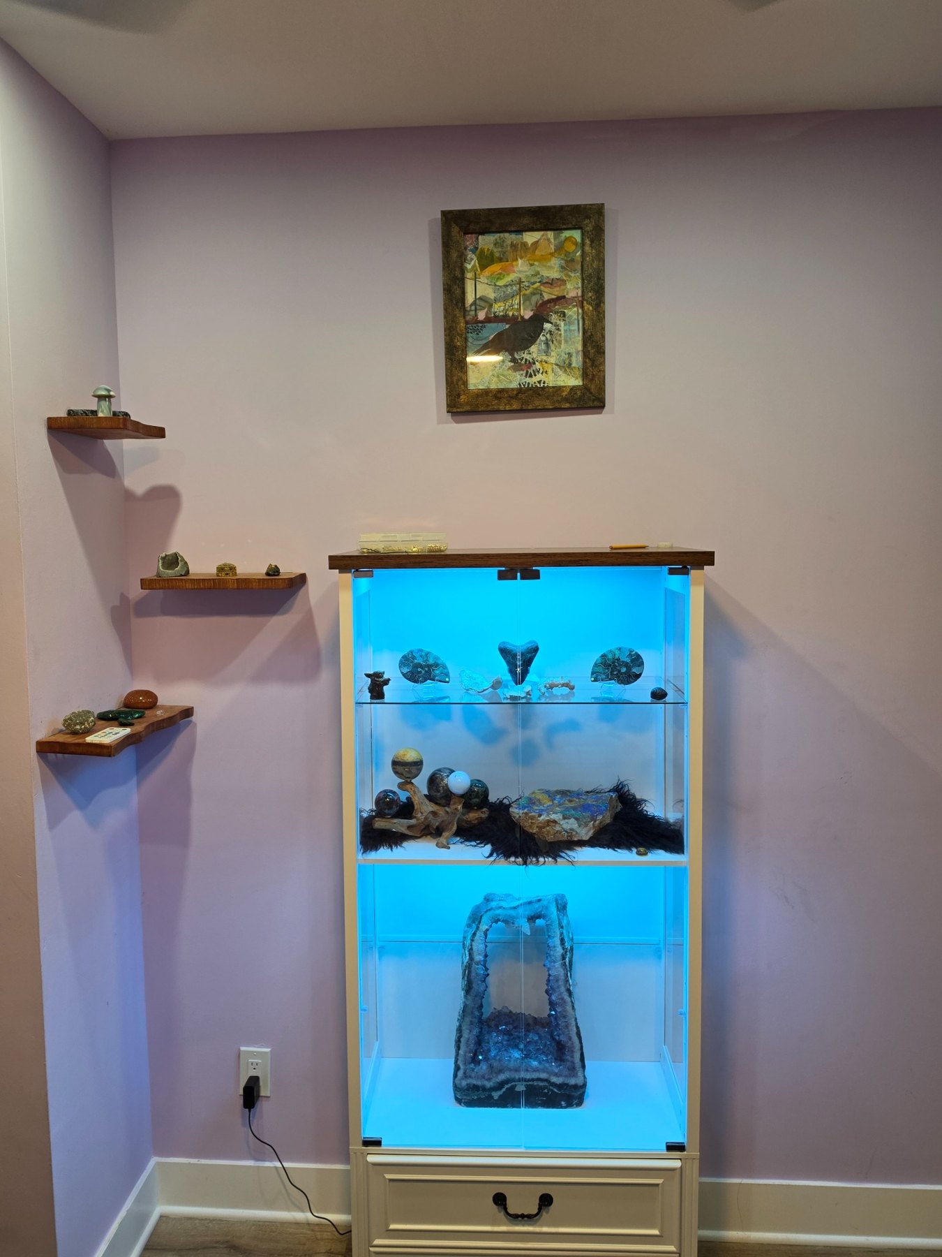 Illuminated display cabinet filled with crystals, fossils and minerals